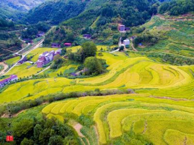 轉(zhuǎn)載‖特種藥肥：藥肥企業(yè)從大田走向經(jīng)作的一把利劍！