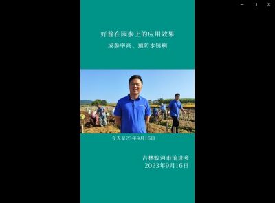 成參率高、預(yù)防水銹病:吉林蛟河市前進(jìn)鄉(xiāng)、白山市撫松縣萬(wàn)良鎮(zhèn)（2023.9.16）