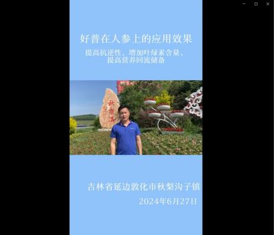 提高抗逆性、增加葉綠素含量、提高營養(yǎng)回流儲備:吉林省敦化市（2024.6.27）